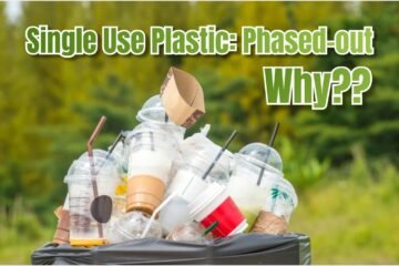Single Use Plastic: Phased-out….Why?