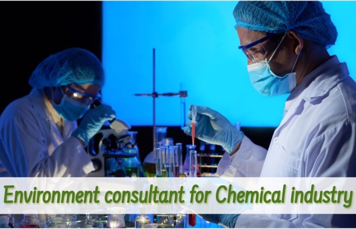 "Image of Greenleaf Environmental Consultant providing guidance to the chemical industry."