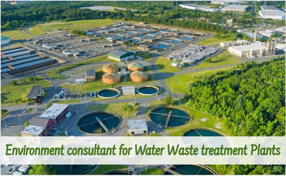 "Image featuring an environment consultant overseeing a water waste treatment plan."