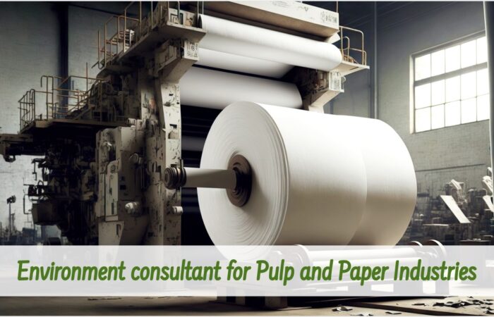 "Image featuring an environmental consultant overseeing operations in a pulp and paper mill."