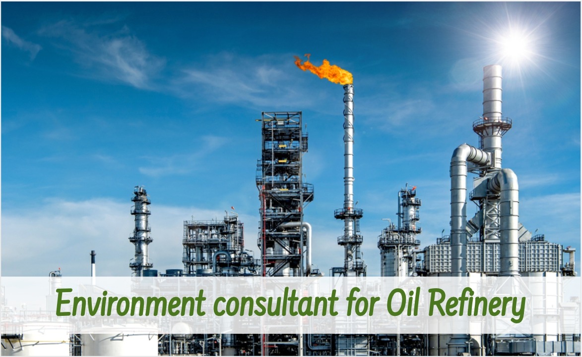 A skilled environment consultant overseeing oil refinery sustainability