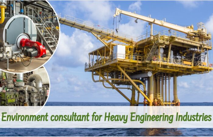 Environmental consultant overseeing sustainable practices in heavy engineering